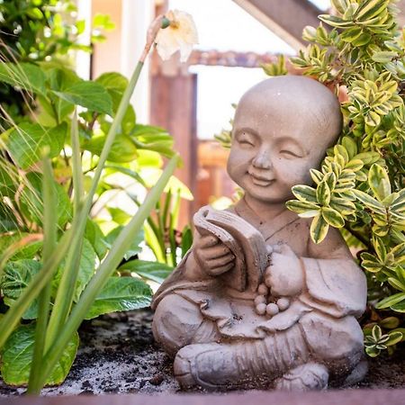 Villa Zenith Hostel-La Surf House Lacanau Ngoại thất bức ảnh