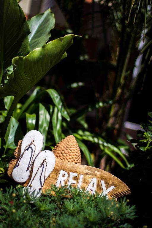 Villa Zenith Hostel-La Surf House Lacanau Ngoại thất bức ảnh