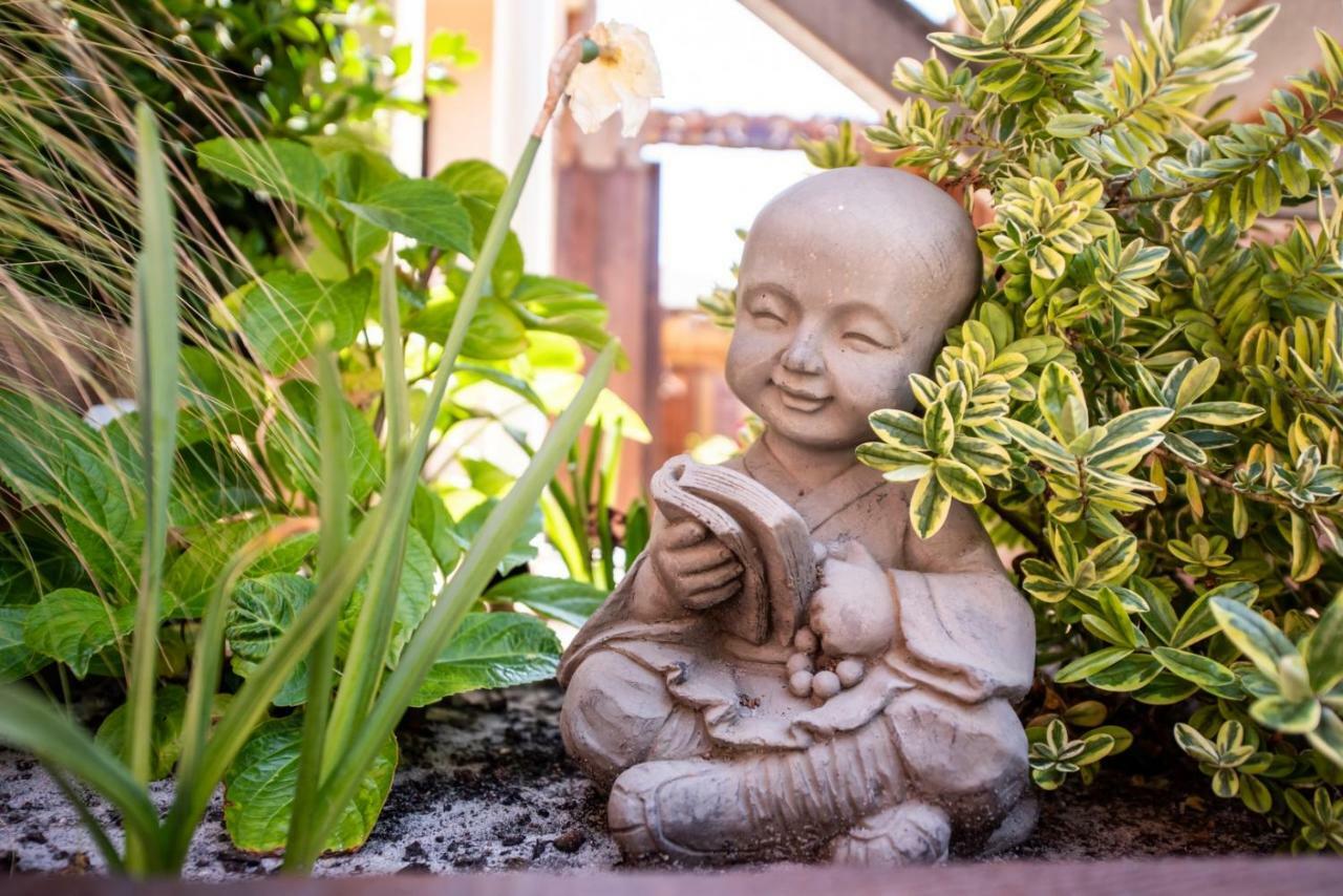 Villa Zenith Hostel-La Surf House Lacanau Ngoại thất bức ảnh